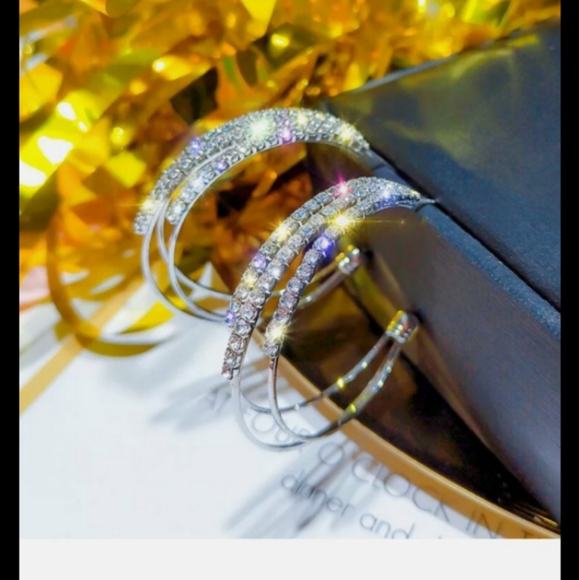 Silver Hoop Trendy Pave Diamond Earrings - Picture 2 of 3